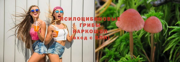 гидропоника Нефтекумск