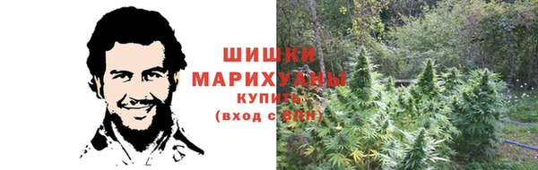 PSILOCYBIN Нея