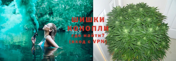 PSILOCYBIN Нея