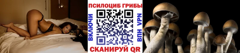 Галлюциногенные грибы мицелий  хочу   Дно 